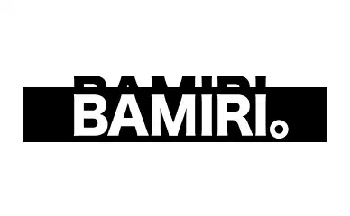 株式会社BAMIRI